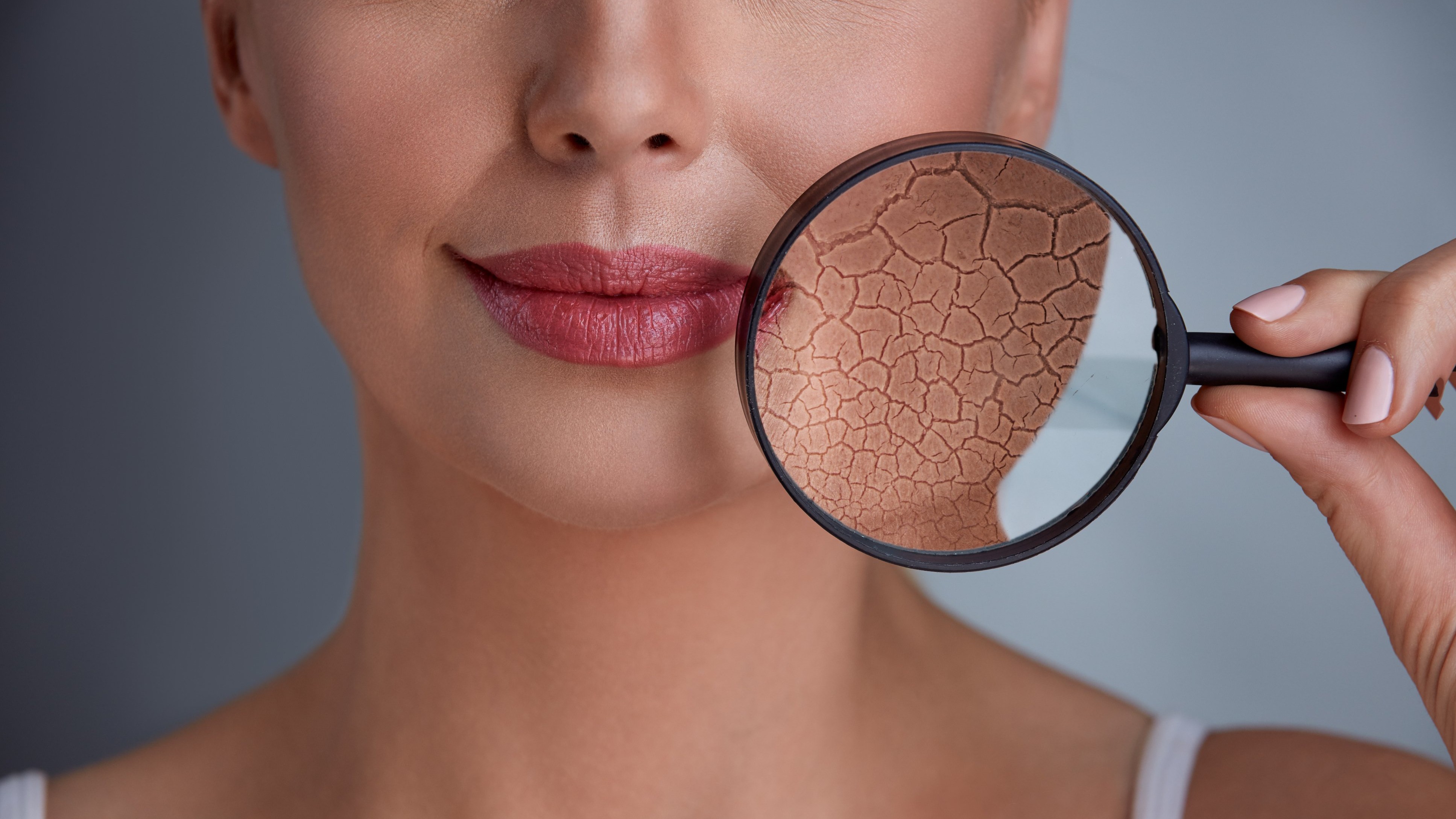 In the quest for an anti-ageing drug