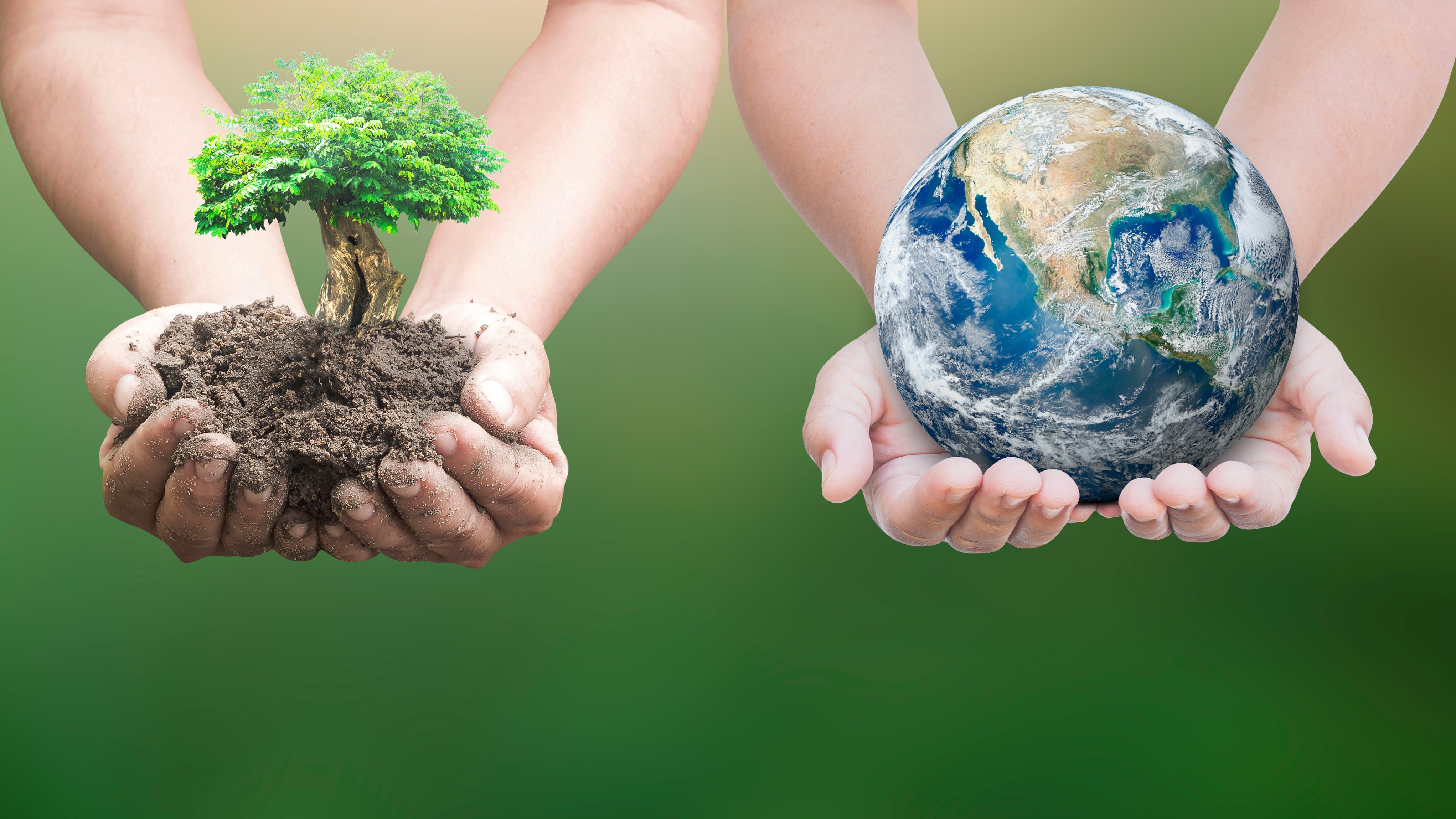 Why B-schools must teach degrowth