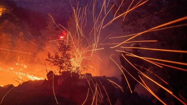 Officials issue advisory warning people of forest fire in Kashmir in next 7 days