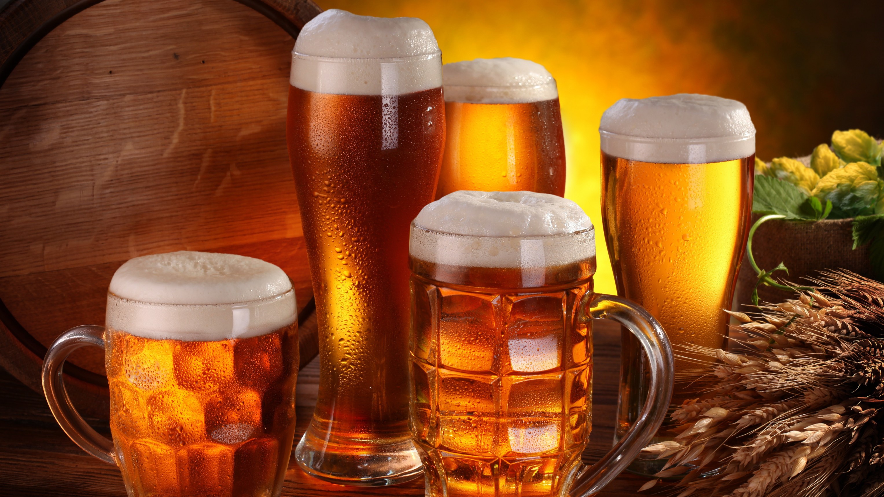 In Pics| 6 Beers that are good for your gut health