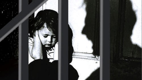 Sexual assault in family: Court seeks doctors' views on diabolical injuries of seven-year-old girl