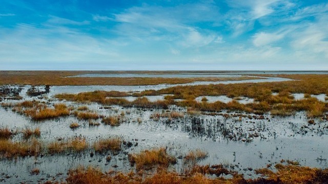Flooded streets, dry taps: The high cost of lost wetlands