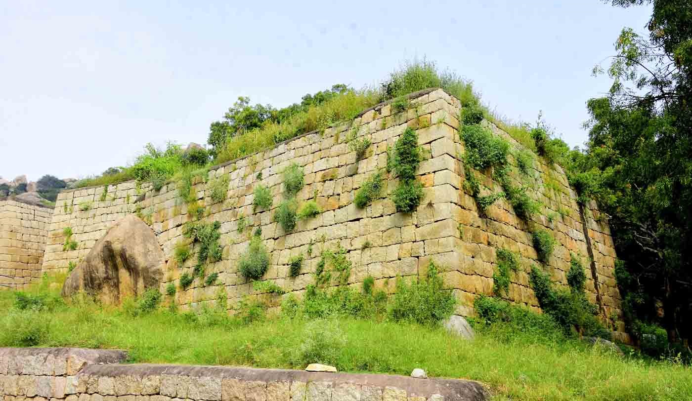 Historic fort of Chitradurga turns into a ‘forest’