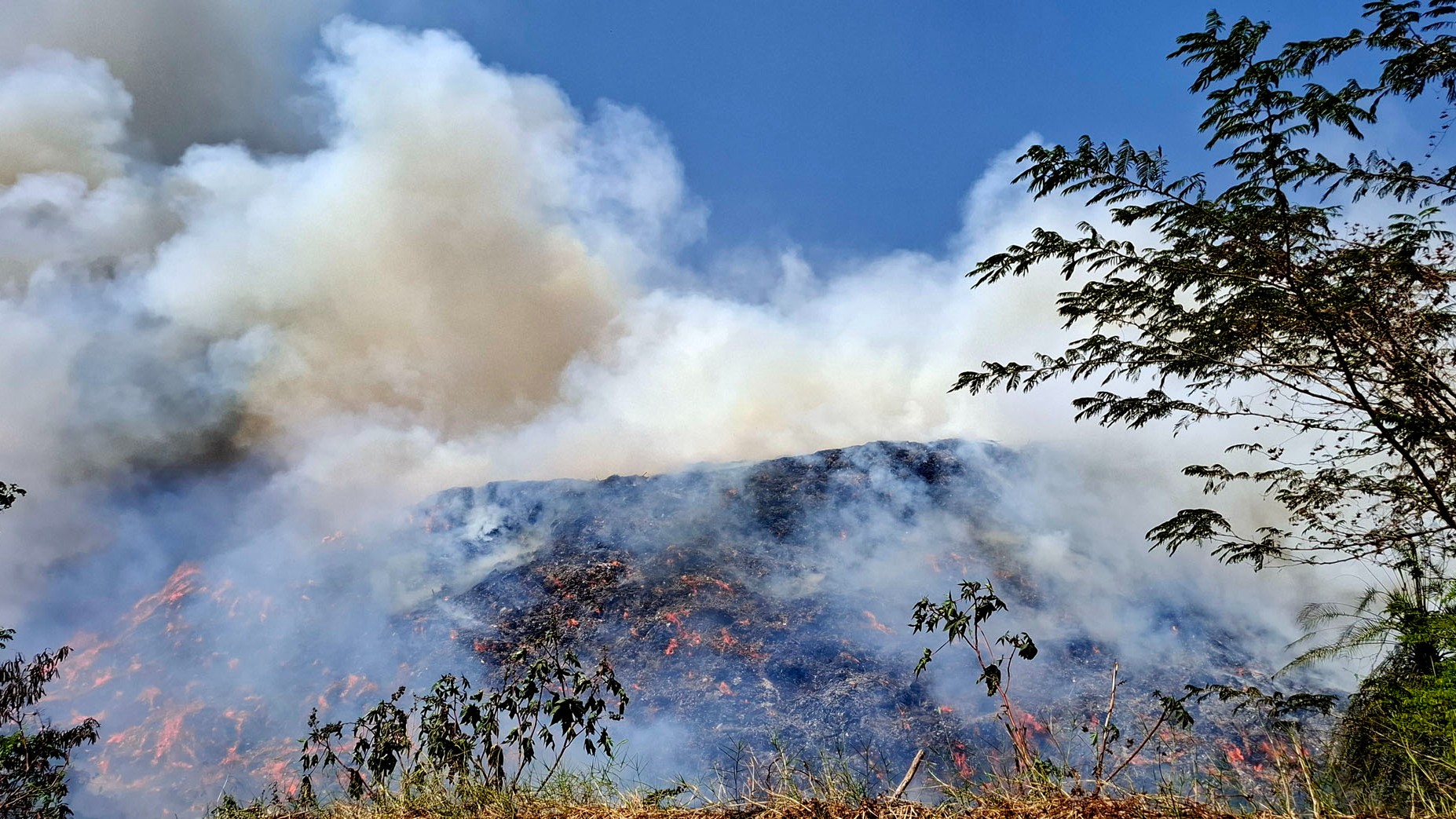 Legacy waste catches fire, spreads over 15 acres at dump site at Mysuru's Sewage Farm