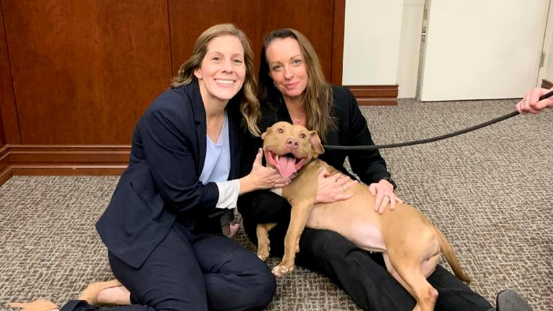 Georgia man sentenced to 475 years for dogfighting