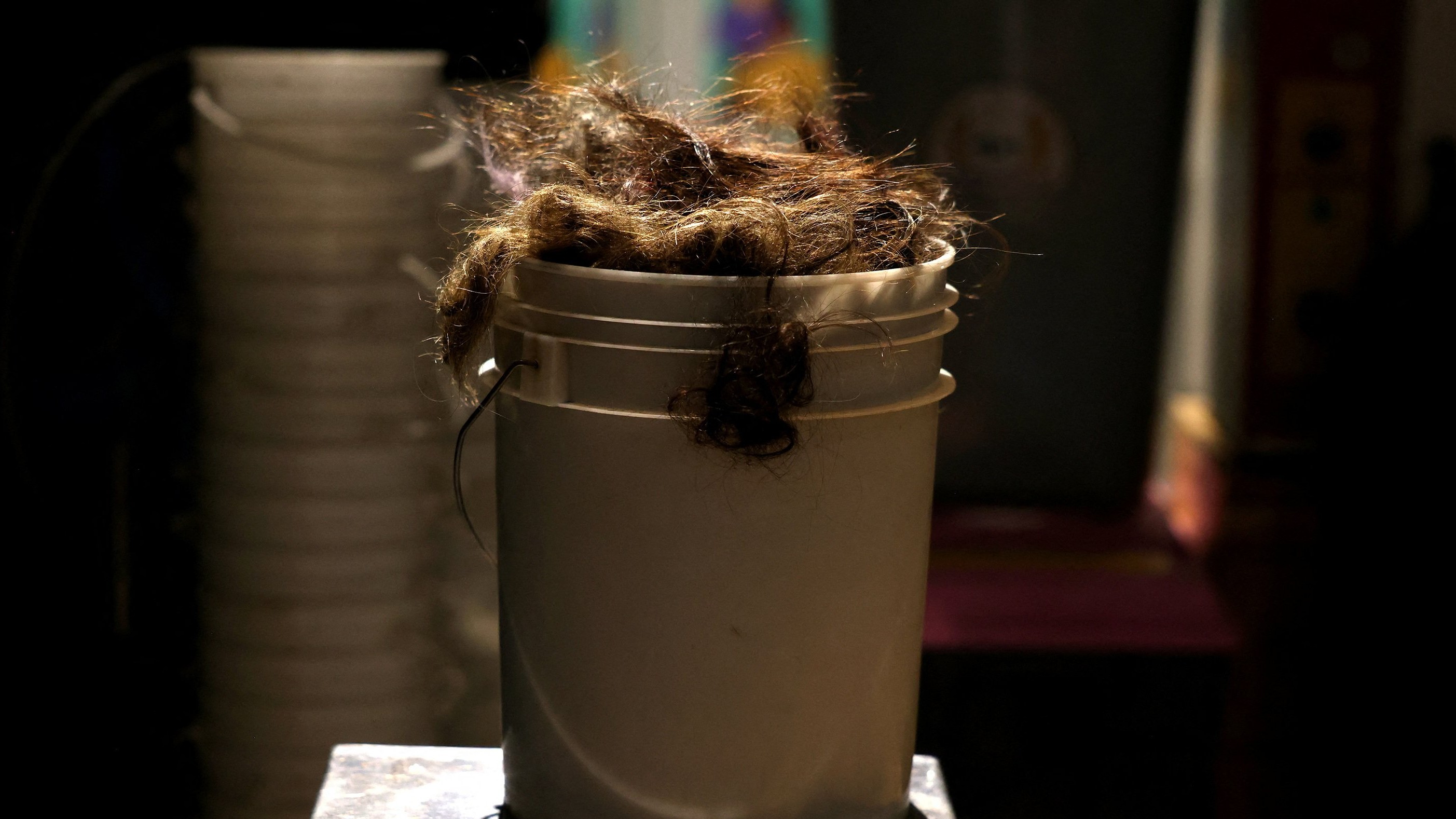 Govt bans export of raw human hair below $65 per kg