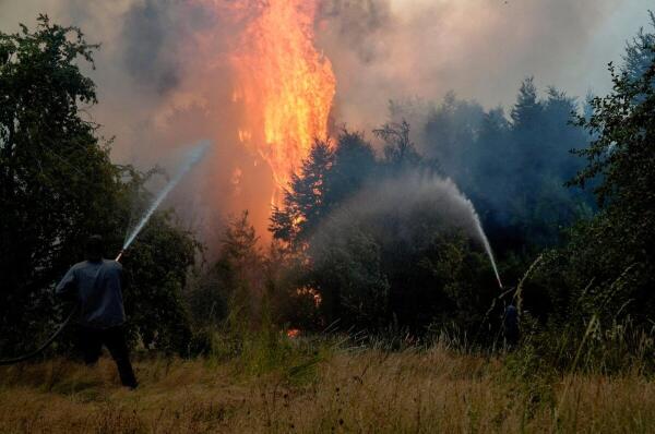 Local residents work to extinguish a wildfire in El Bolson, in the Patagonian province of Rio Negro, Argentina