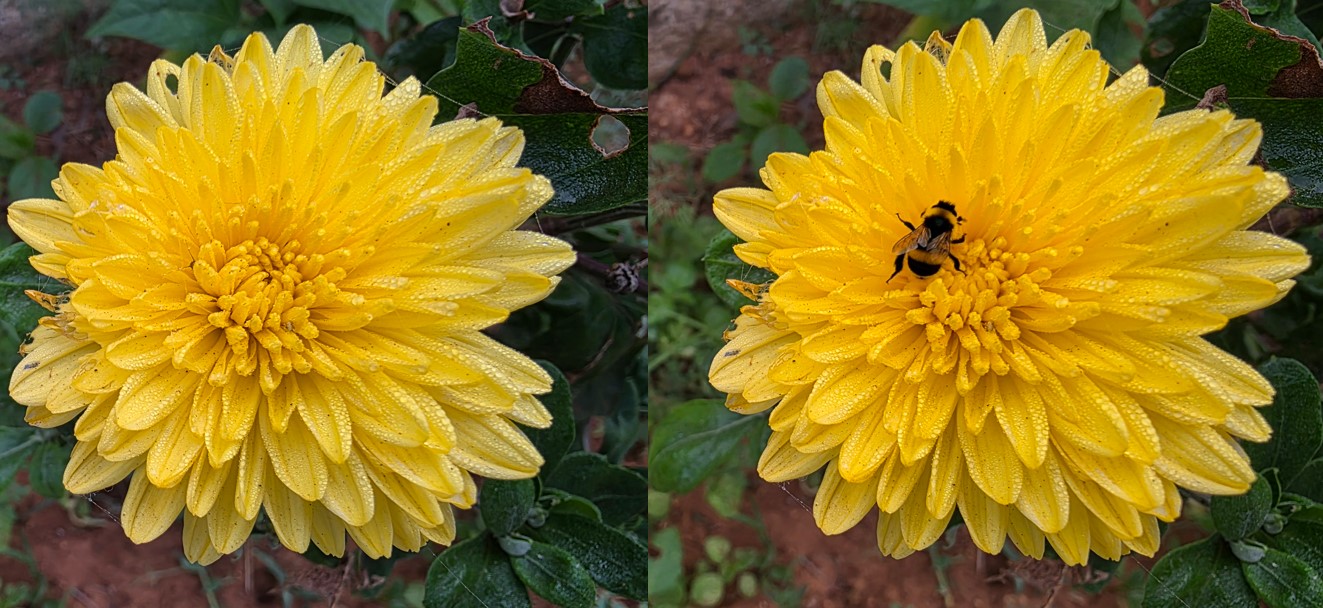 Samsung Galaxy S25 Ultra's camera sample with Reimagine feature at work.