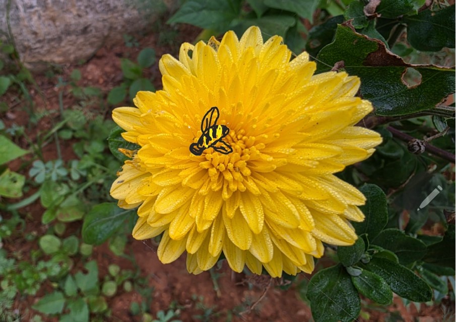 Samsung Galaxy S25 Ultra's camera sample with Reimagine feature.