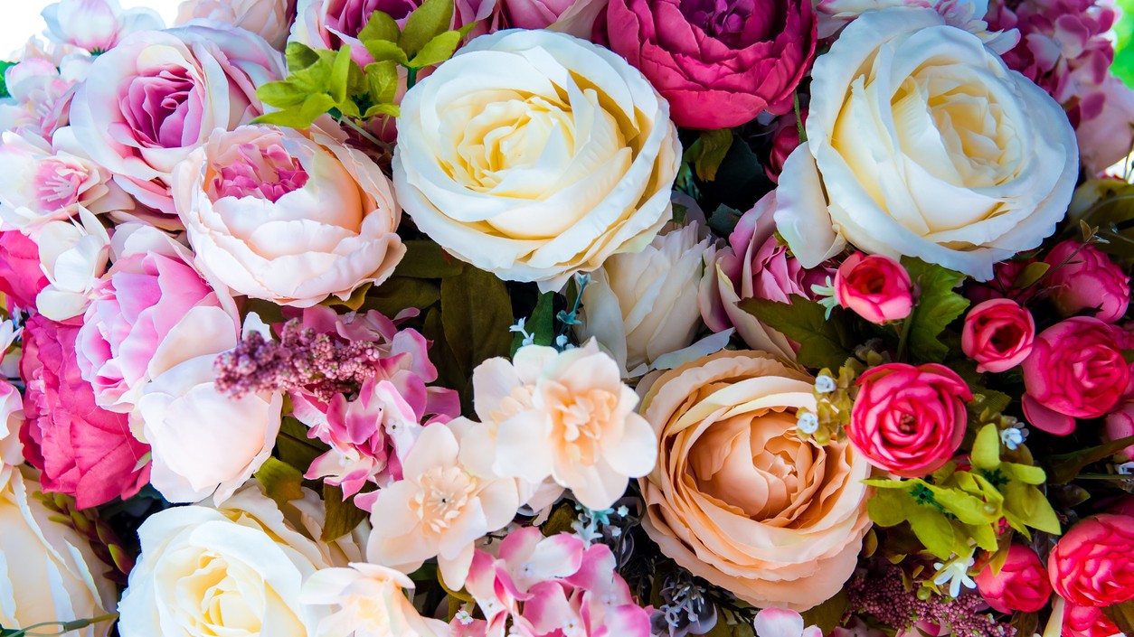 Why plastic flowers not included in list of banned plastic items, Bombay HC asks Centre