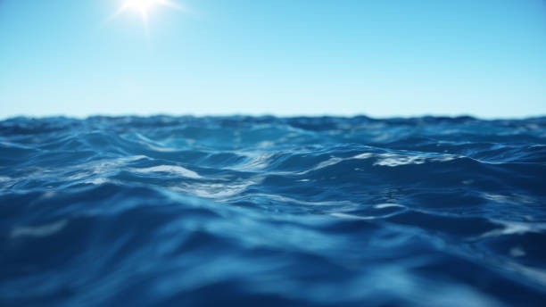 An unexpected anomaly was found in the Pacific Ocean – and it could be a global time marker