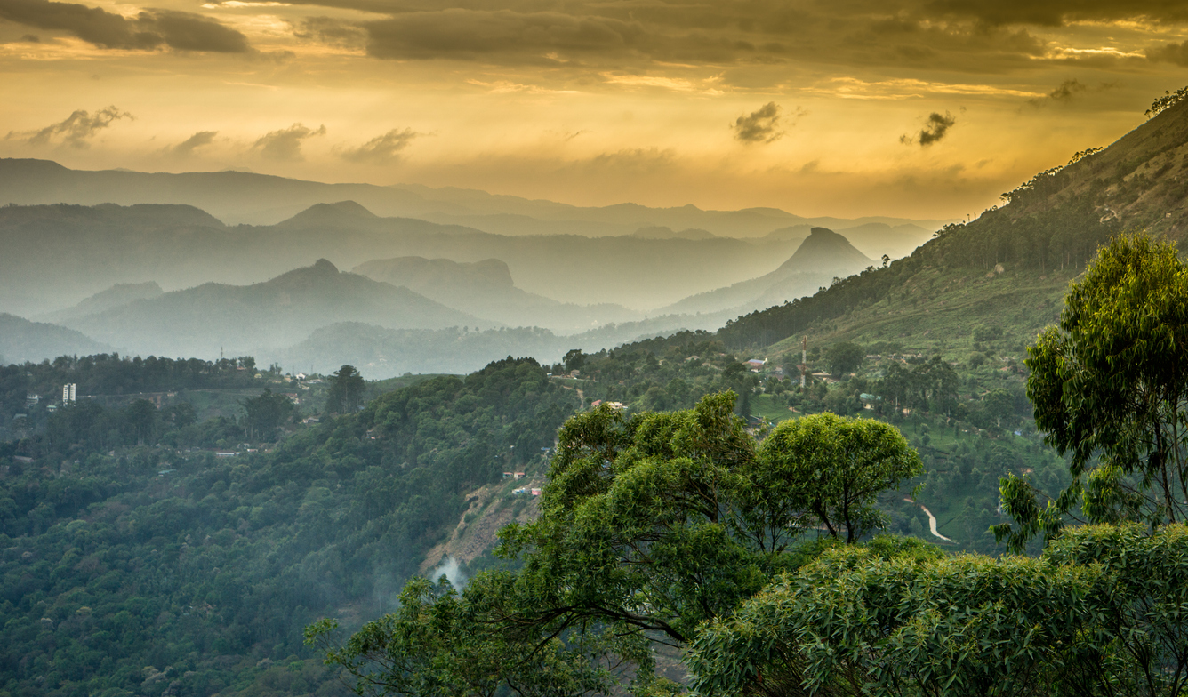 Over 30,000 acres under landslide threat in Western Ghats of Karnataka