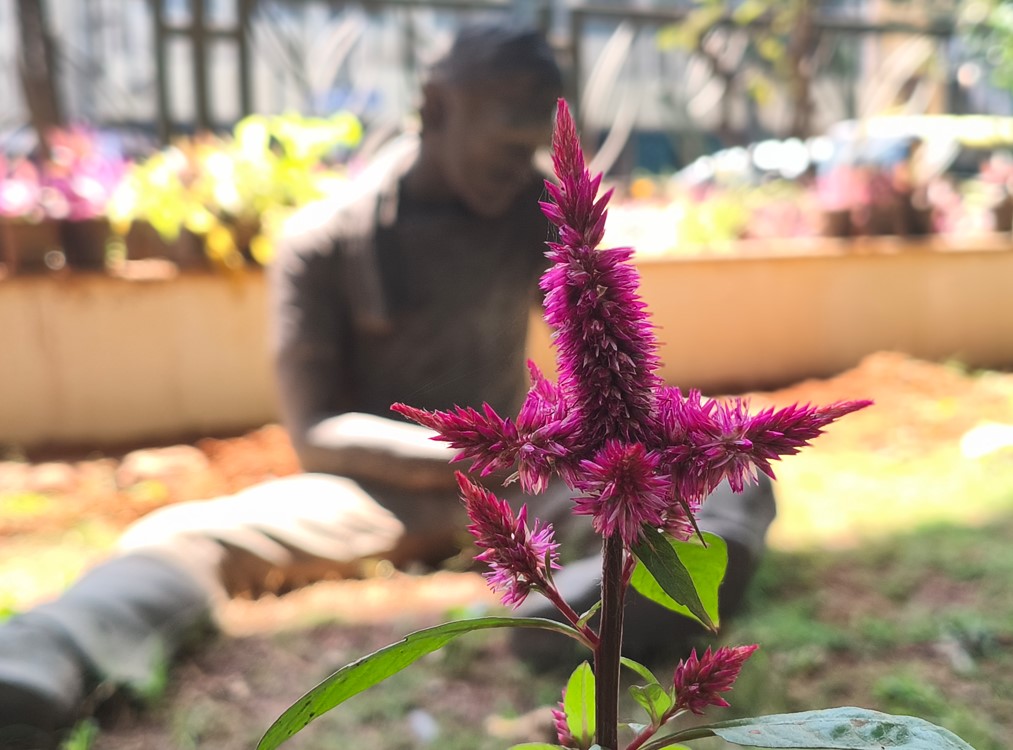 Poco X7's camera sample with portrait mode.