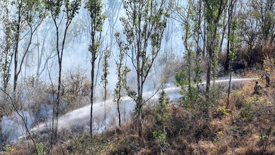 Karnataka State File and Emergency Service personnel dousing the fire at Chamundi Hills on February 21, 2025.