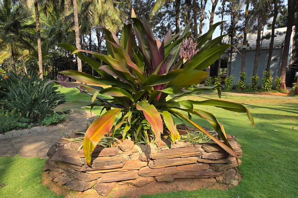 Samsung Galaxy S25's camera sample.