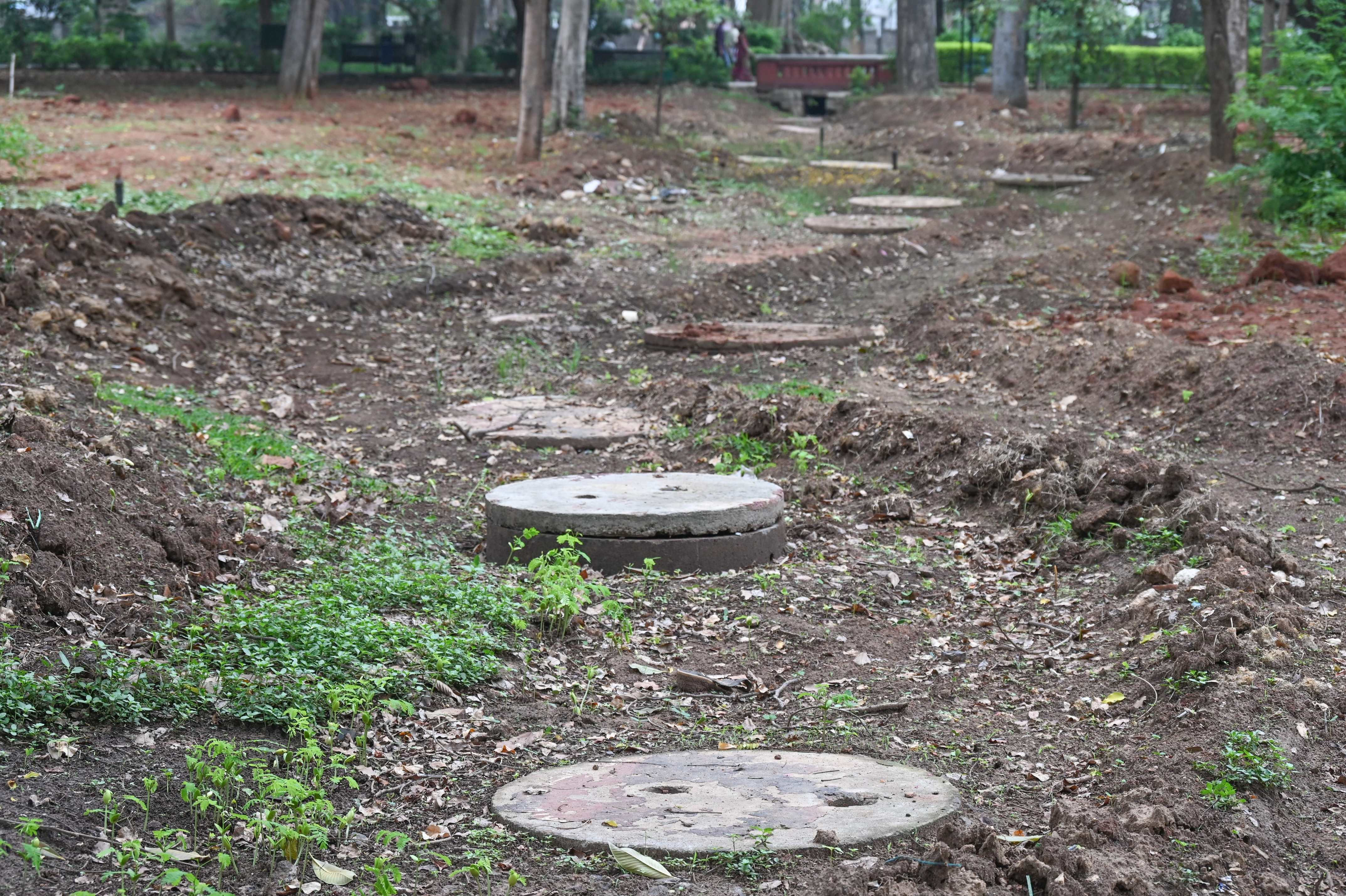 In the last few years 250 recharge wells have been dug up in Lalbagh. DH FILE PHOTO