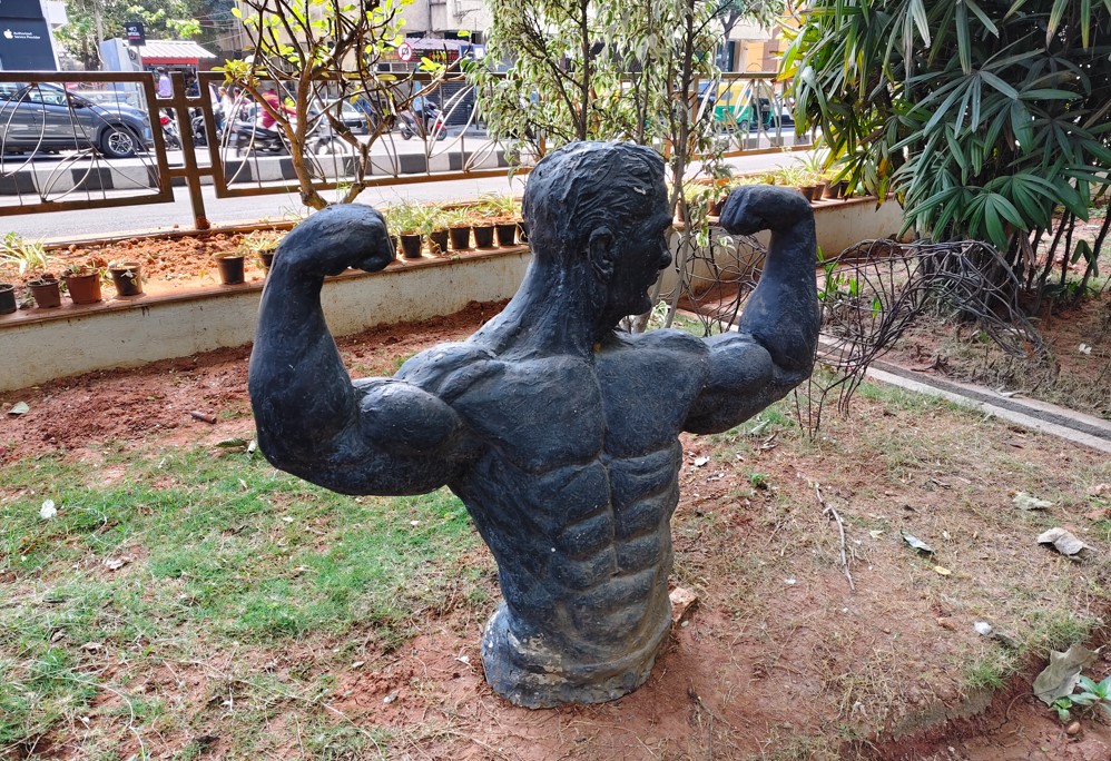 Vivo V50's camera sample.