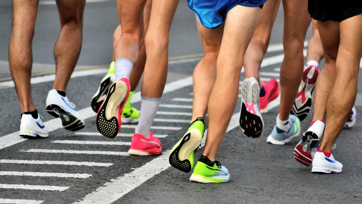 Walkathon to mark Geological Survey of India's 175 years 