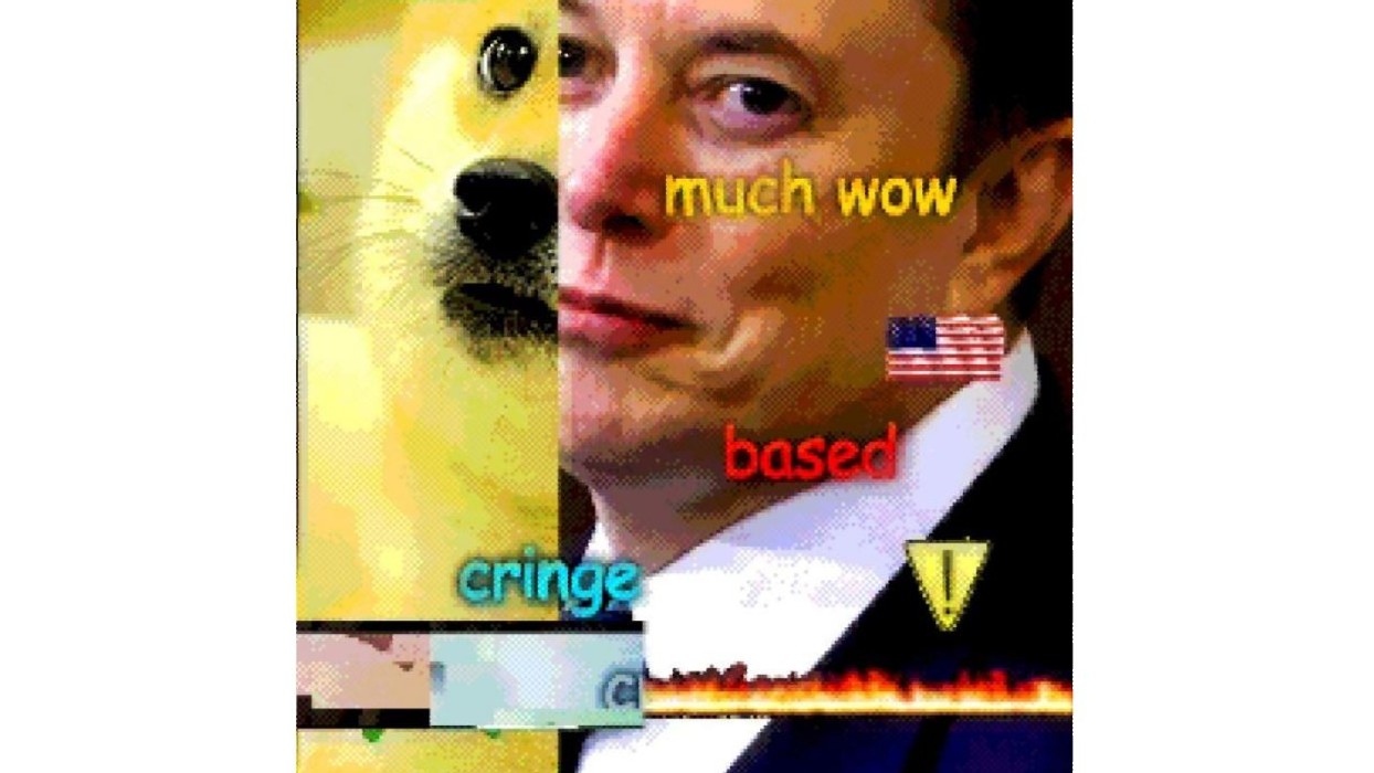 Elon Musk's Internet: So based, much wow. So cringe?
