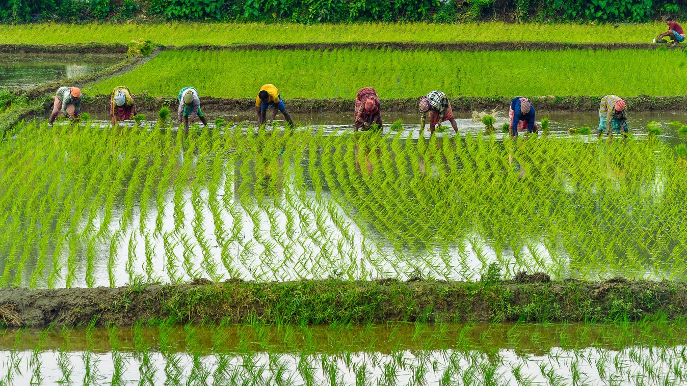 India should cater to global food demand