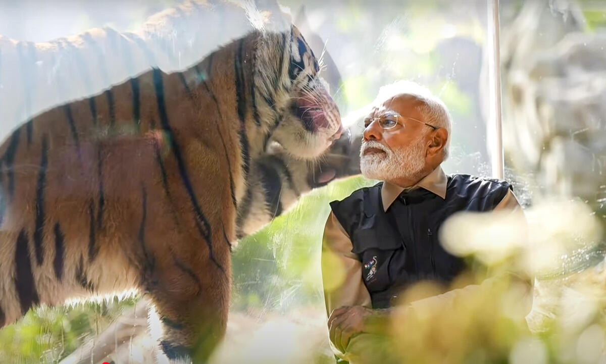 Prime Minister Narendra Modi interacts with a tiger during the inauguration of 'Vantara', in Jamnagar, Gujarat.