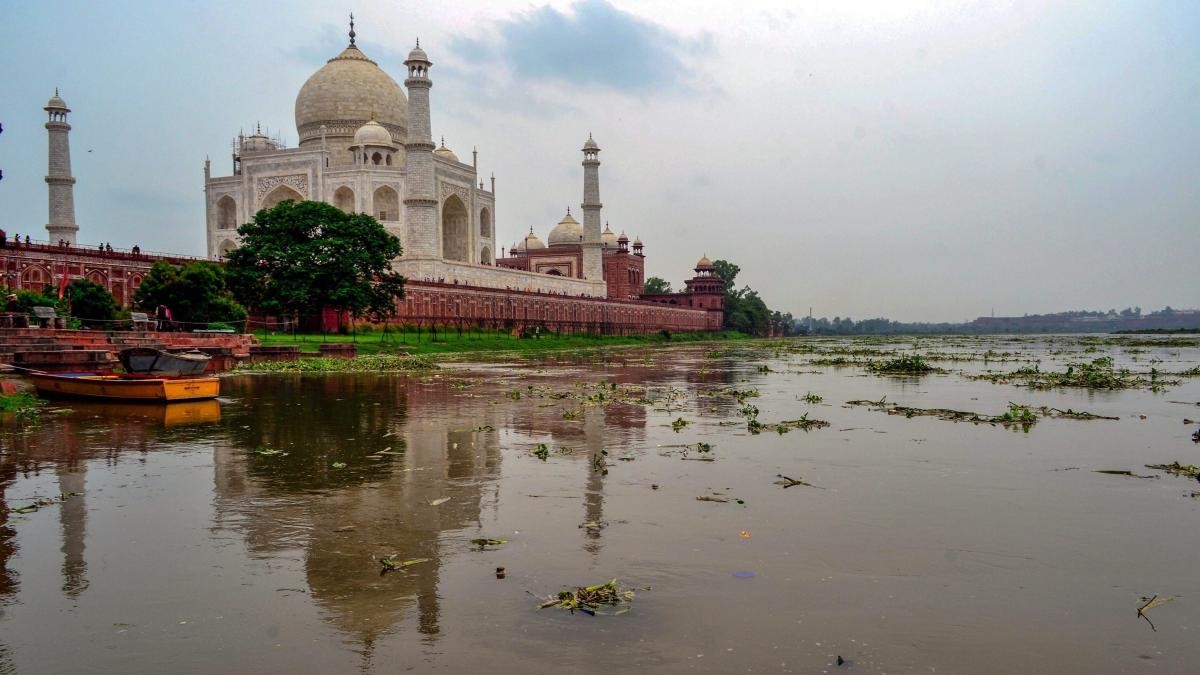 SC asks FRI, Dehradun to carry out tree census in Taj Trapezium Zone