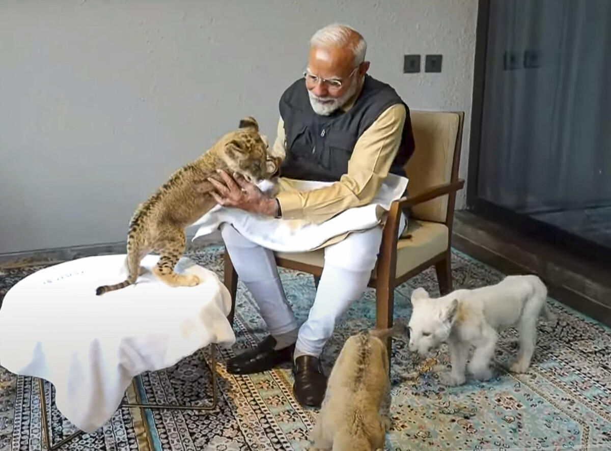 Prime Minister Narendra Modi interacts with cubs during the inauguration of 'Vantara', in Jamnagar, Gujarat.