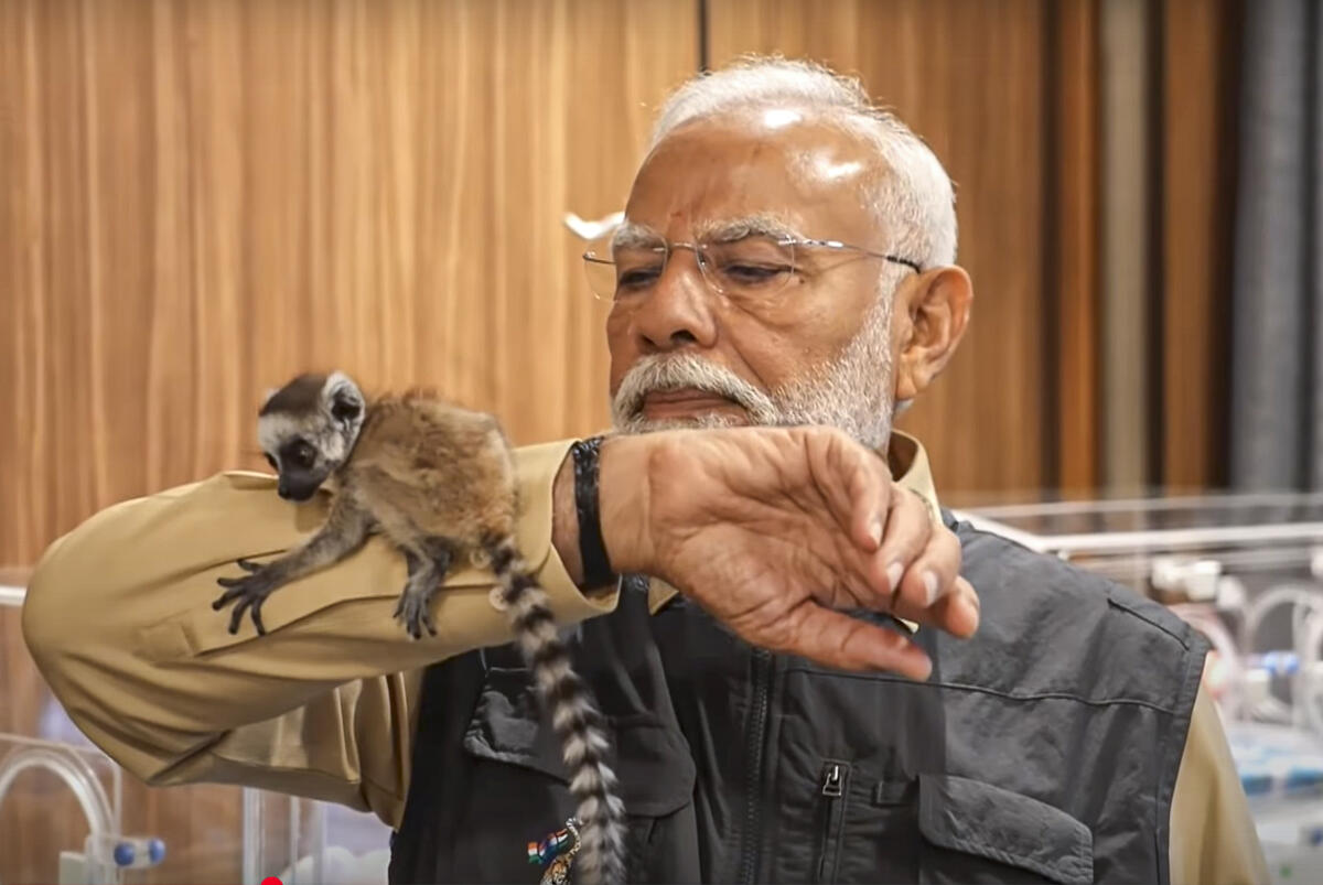 Prime Minister Narendra Modi interacts with a lemur during the inauguration of 'Vantara', in Jamnagar, Gujarat.