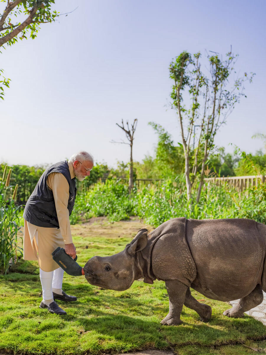 Prime Minister Narendra Modi interacts with a rhino during the inauguration of 'Vantara', in Jamnagar, Gujarat.