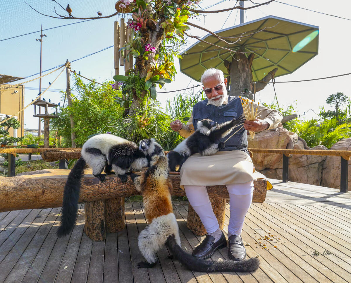 Prime Minister Narendra Modi interacts with animals during the inauguration of 'Vantara', in Jamnagar, Gujarat.