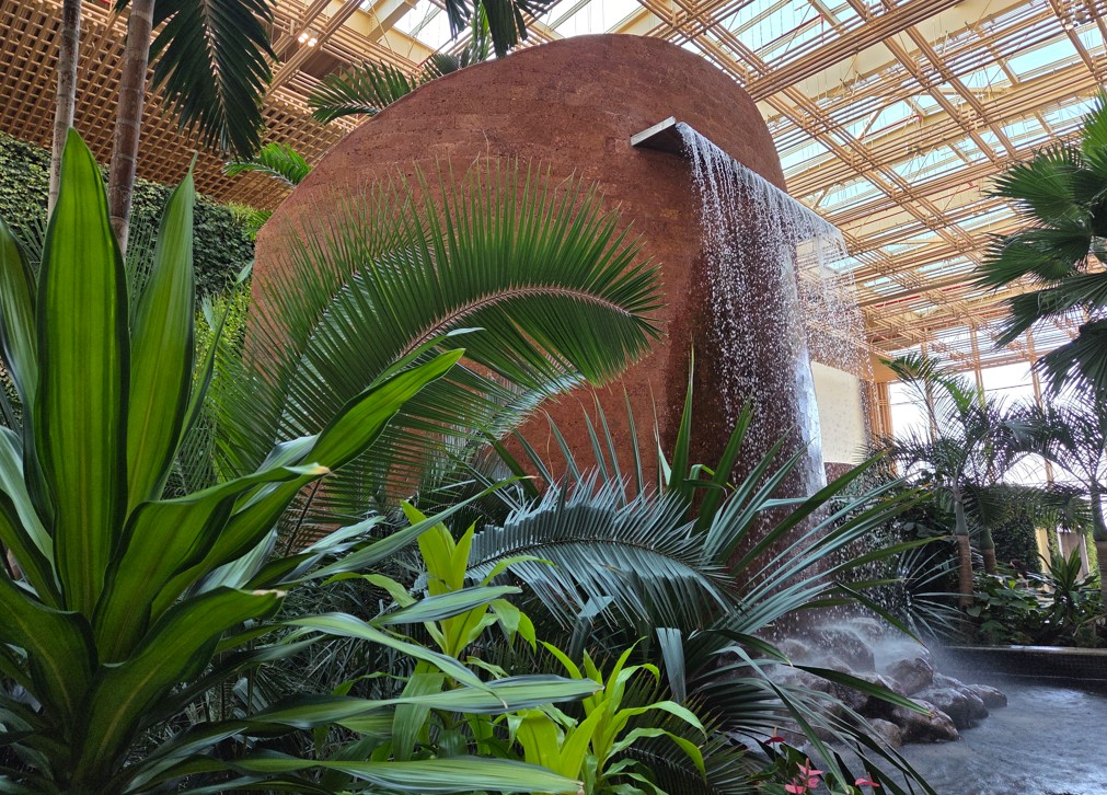 Samsung Galaxy S25 Plus' camera sample.