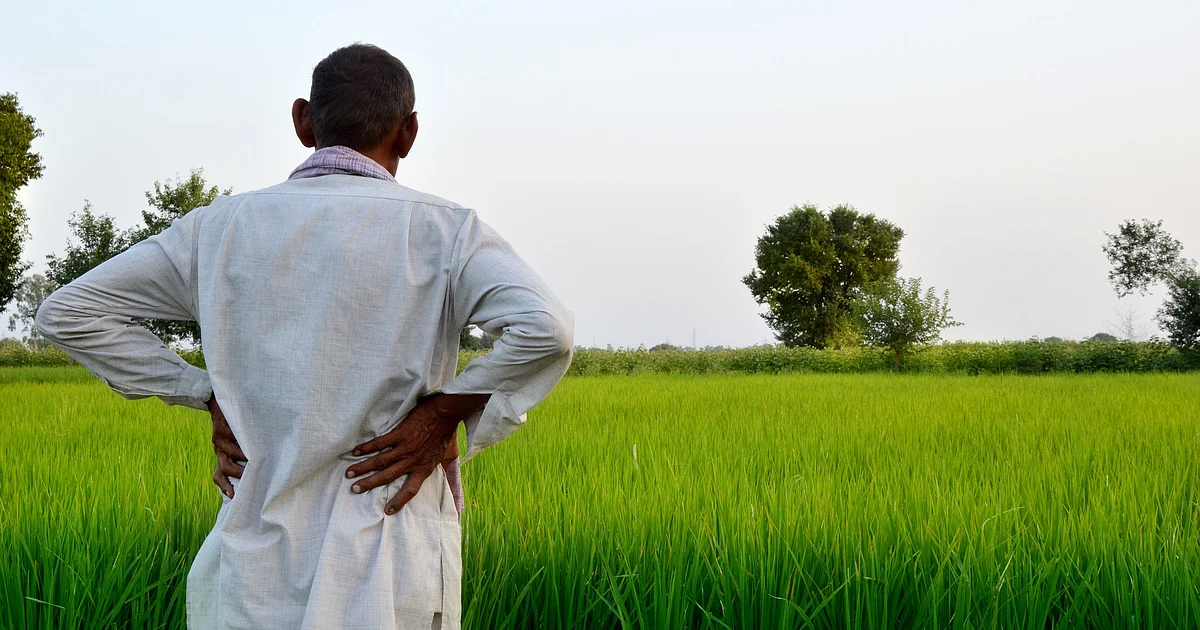 Farm Relief: Andhra Govt Credits ₹7,000 Each to 47 Lakh Farmers Under Annadatha Scheme