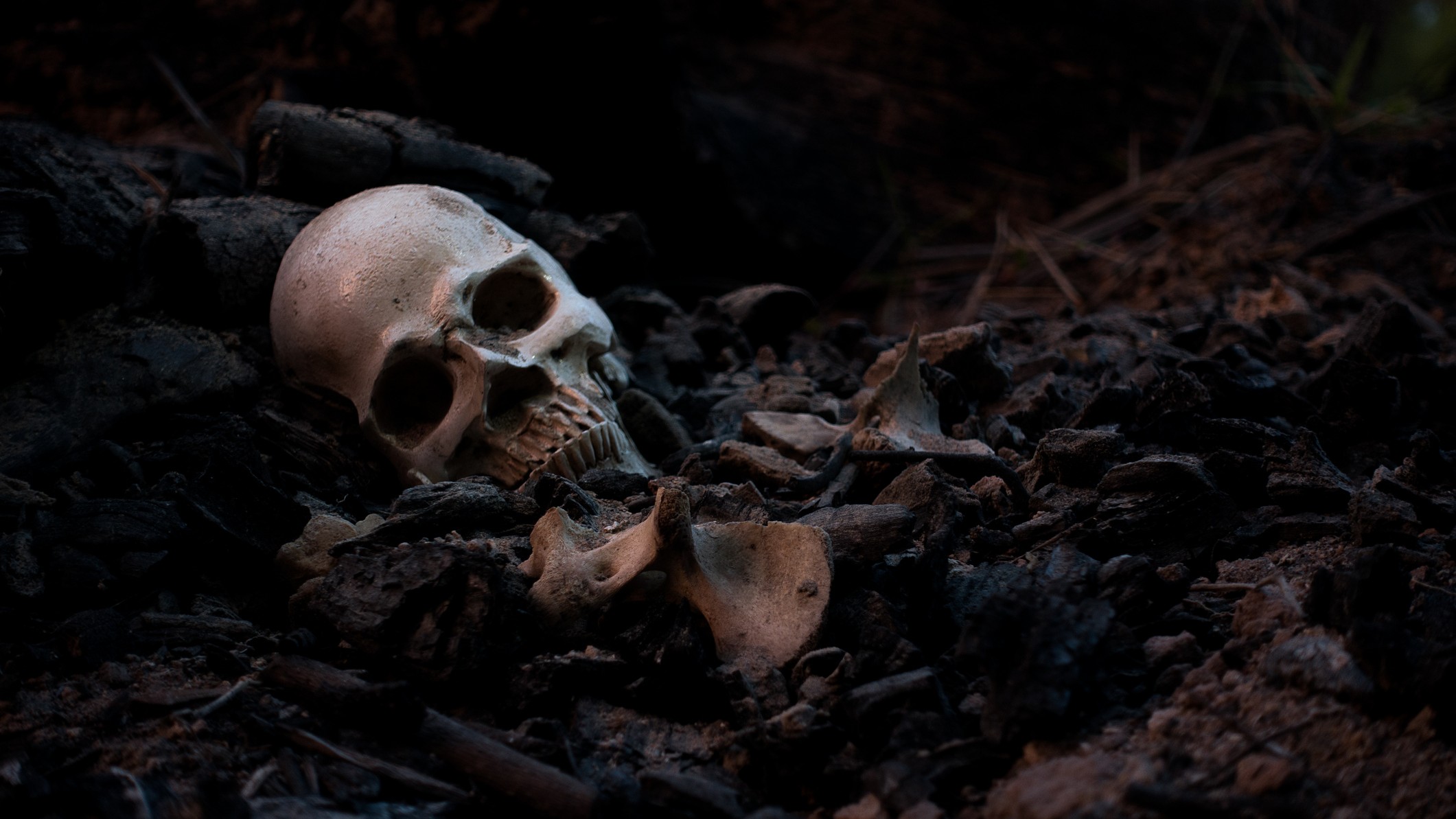 Human skeleton found in suitcase near Kerala cemetery