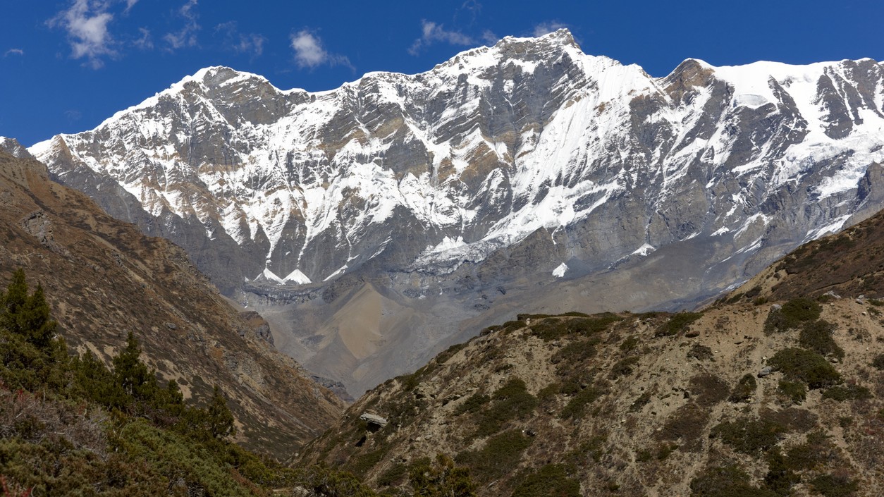 Mutilated body found on Churdhar peak in Himachal, believed to be of missing Haryana youth