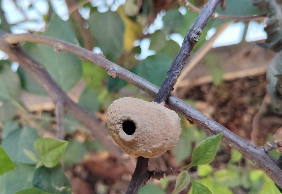 Poco M7's camera sample.