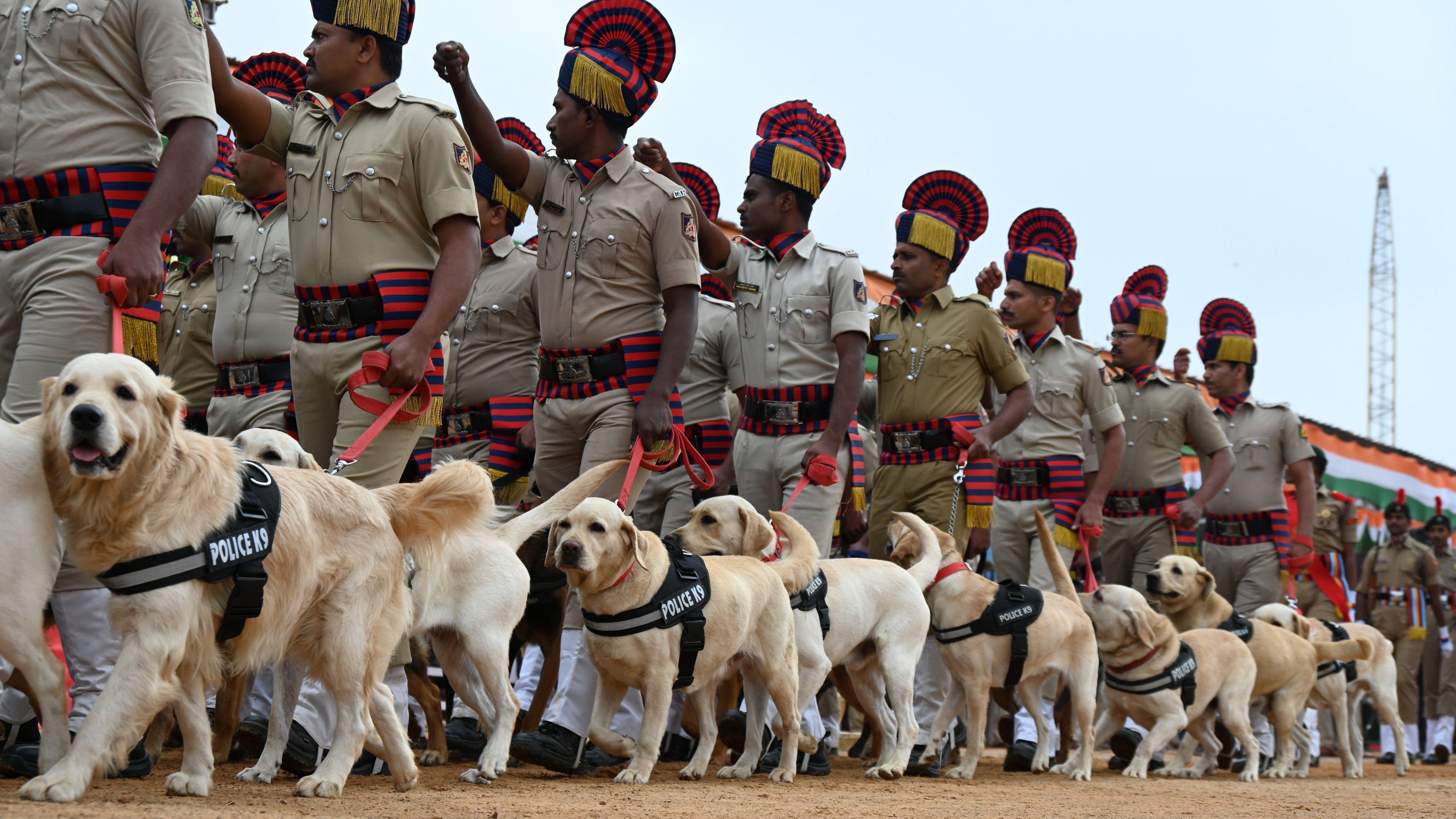 Dog squad to check narcotics in prisons: HM Parameshwara