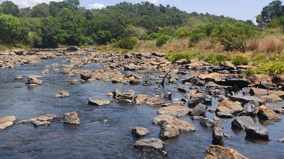 Cauvery River water level drops amid scorching heat
