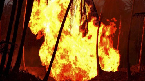 Kalyan gas leak-fire: Two of three injured persons die in Mumbai hospital