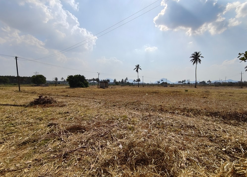 Nothing Phone (3a)'s camera sample with ultra-wide angle mode.