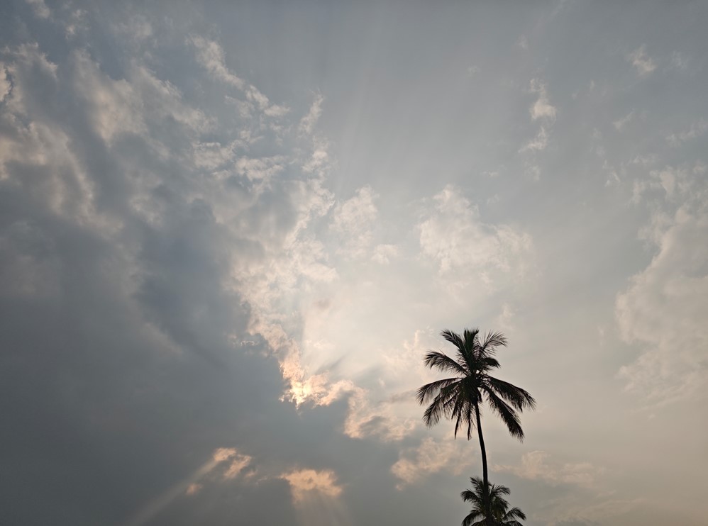 Xiaomi 15's camera sample.