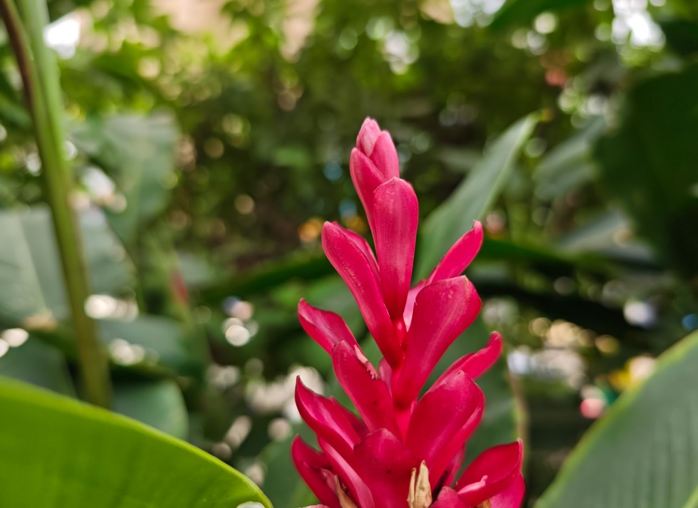 Xiaomi 15's camera sample.