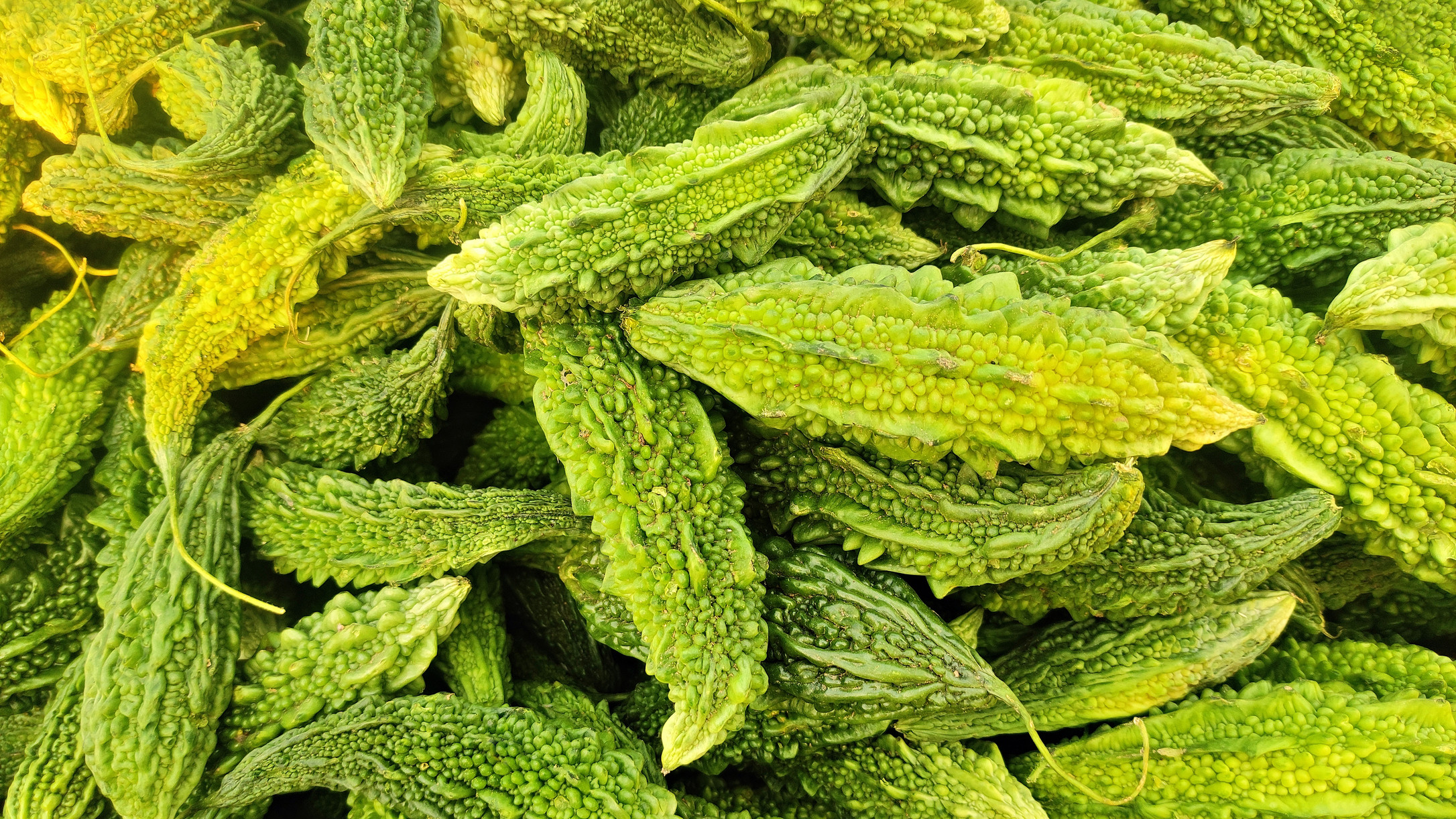 The great karela escape