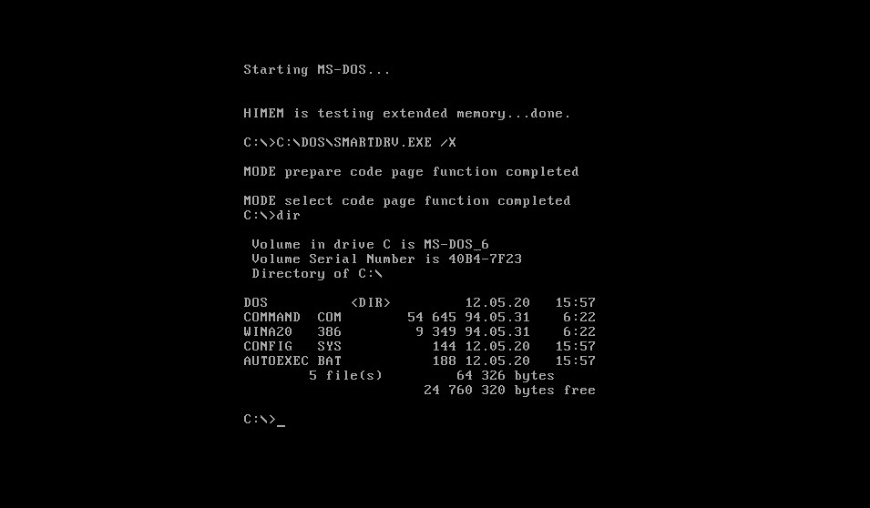MS-DOS command prompt