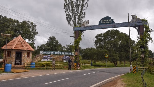 Save Bandipur Campaign: Environmentalists form human chain
