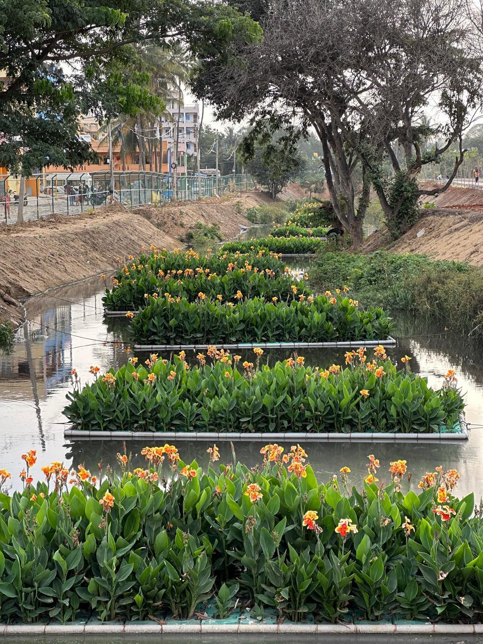 A representative image of the floating gardens. 