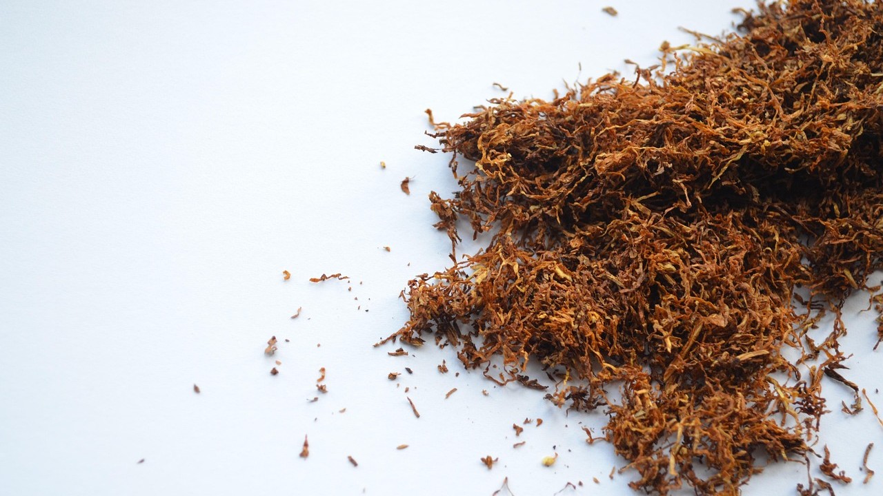 does cvs sell tobacco CVS will end all tobacco sales does cvs sell tobacco CVS will end all tobacco sales