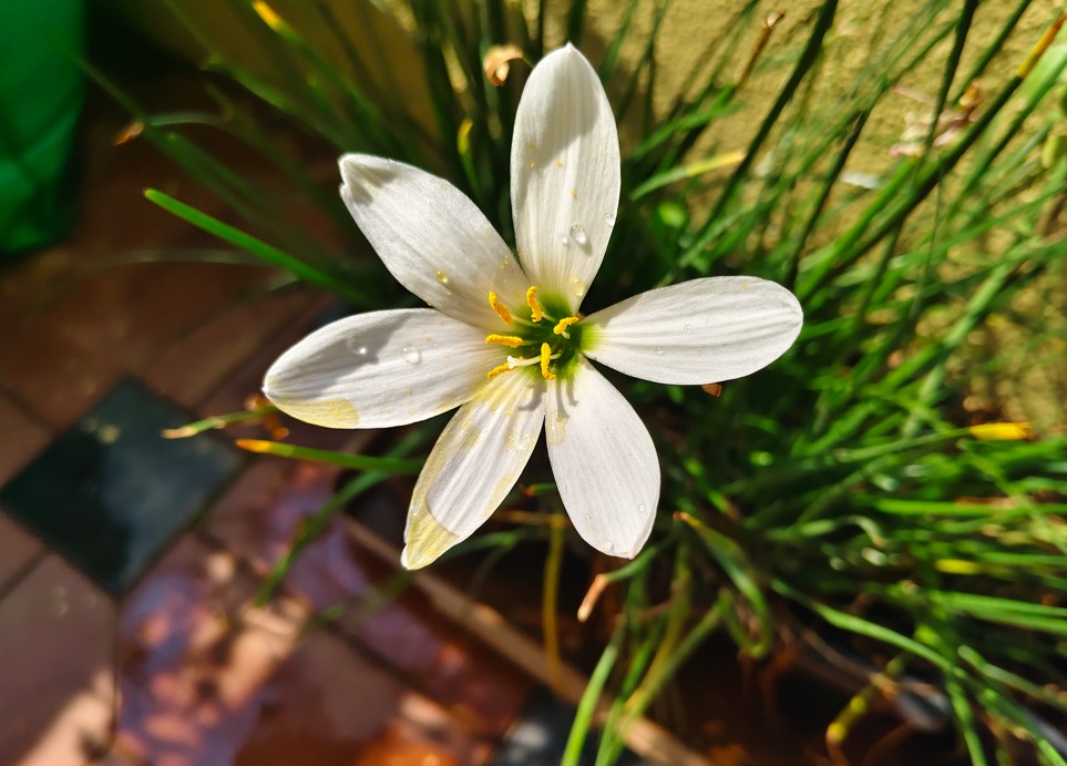 iQOO Z10 5G's camera sample.