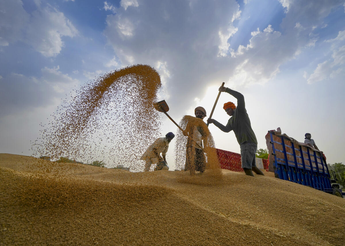 Workers at a wholesale grain market in Amritsar