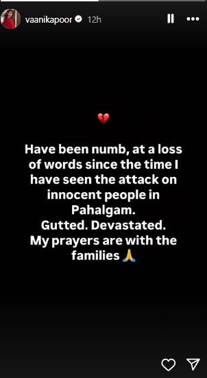 Credit: Instagram/vaanikapoor