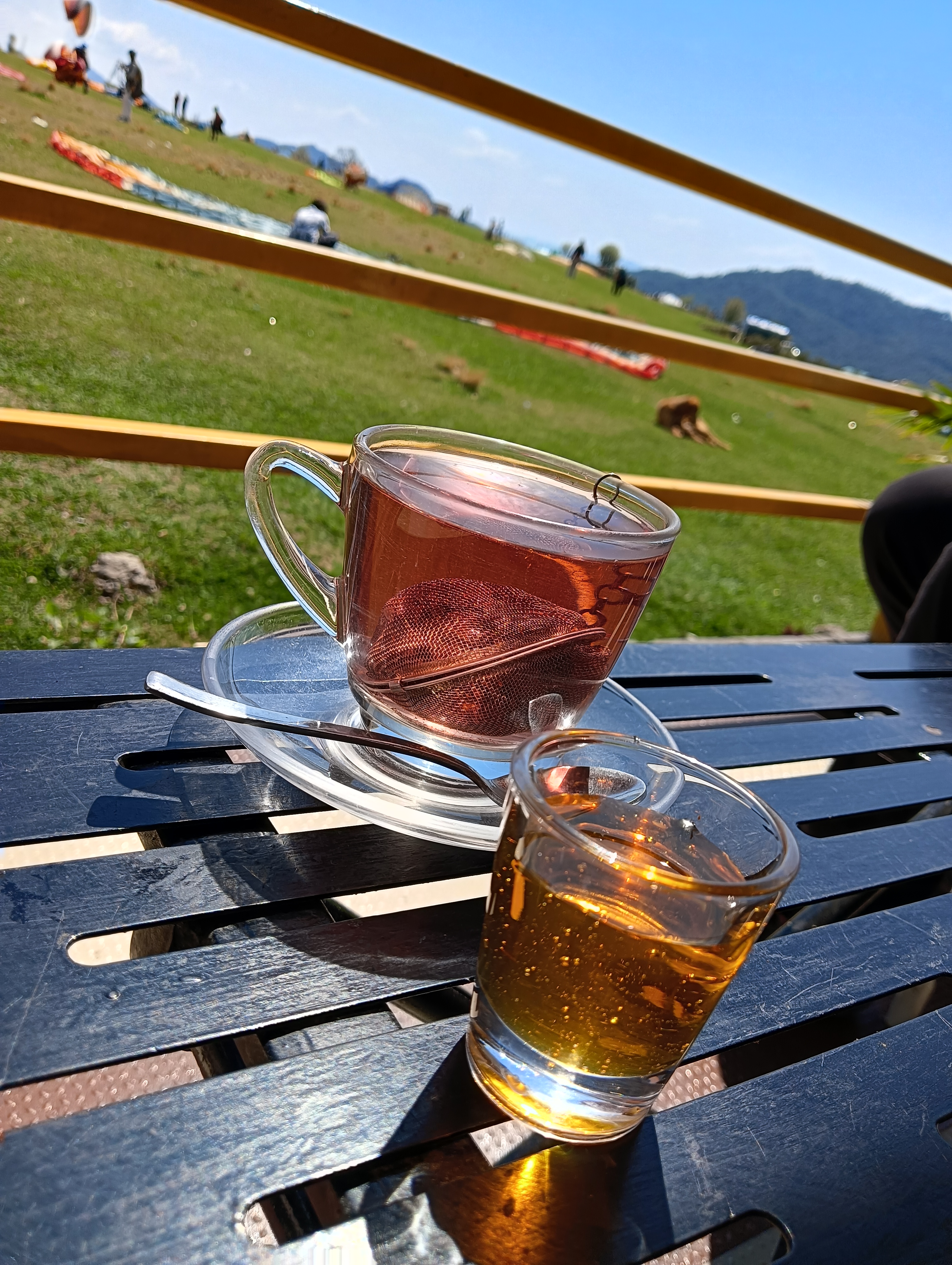 Buransh tea in Bri-Billing Himachal
